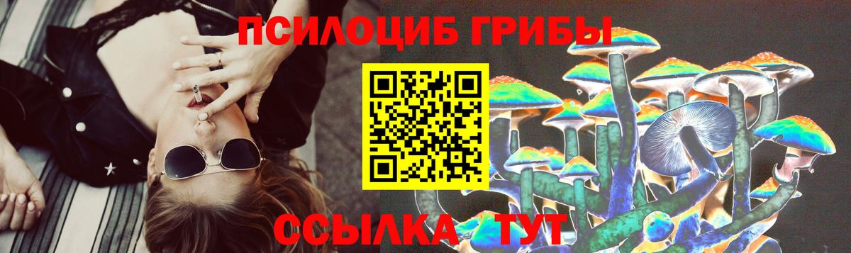 Нурлат  Галлюциногенные грибы Psilocybe  Вход с VPN 
